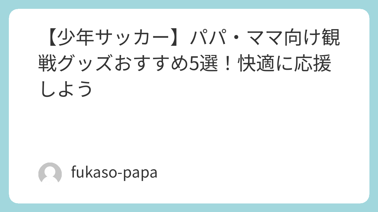 サッカー観戦用グッズ各種